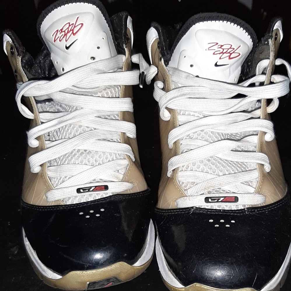Lebron's 7 playoffs